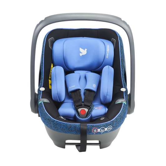 Modul One BLUE