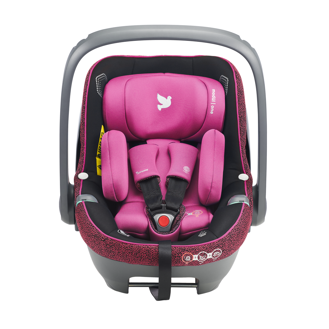 Modul One PINK