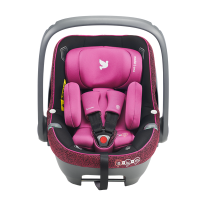 Modul One PINK